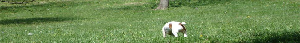 How To Invest In Gold Now – Buying And Selling Gold, Coins, Bars, Shares, Mining, ETFs header image 2